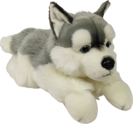 Изображение Dubi Maskotka Pies Husky Lecy Duy Pluszak 61cm Mikka Przytulanka Mi Piesek