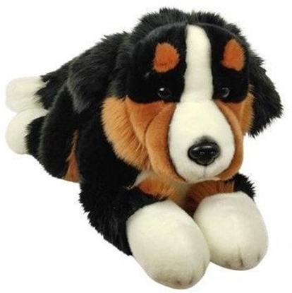 Attēls no Dubi Pies Berneski 30cm