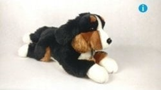 Picture of Dubi Pies berneski 30cm 11001