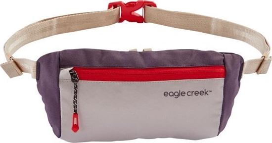 Picture of Eagle Creek Eagle Creek Stash Waist Bag Borealis