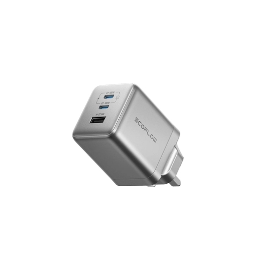 Picture of EcoFlow RAPID PRO/100W Charger