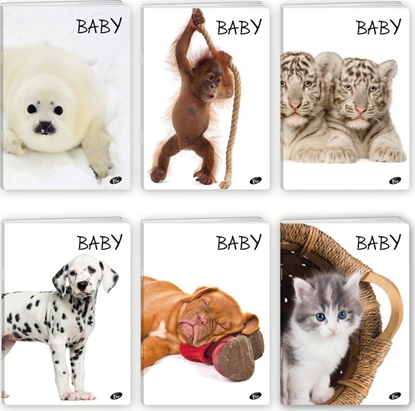 Picture of Elisa Zeszyt A5/32K linia BABY MIX (20szt)