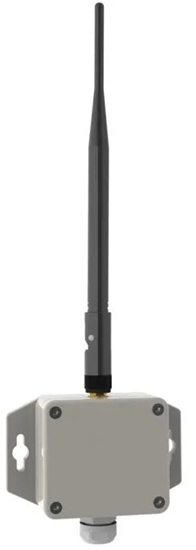 Изображение ELSYS ELT LITE LoRa generic input IP67