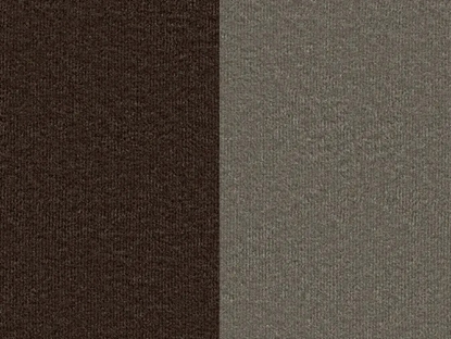 Изображение ELTAP Rosa