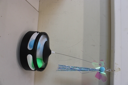 Picture of Enabot SALE OUT. ROLA PetPal Interactive Toys | | ROLA PetPal Interactive Toys | WH287306 | DEMO