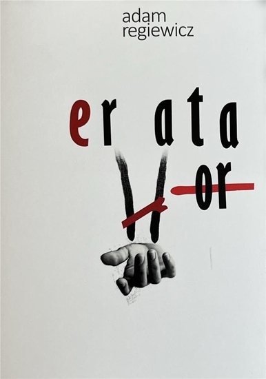 Picture of Errata