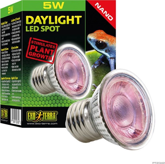 Picture of Exo Terra arówka Exo Terra NANO Daylight LED Spot, 5W