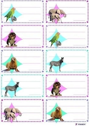 Attēls no FANDY Naklejki na zeszyty 06