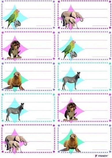 Picture of FANDY Naklejki na zeszyty 06