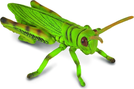 Picture of Figurka Collecta Konik polny (004-88352)