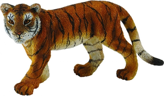 Picture of Figurka Collecta Tygrysitko (004-88413)