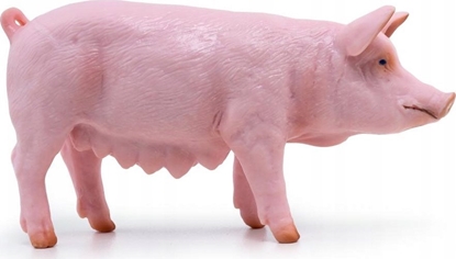 Picture of Figurka Teka Maciora