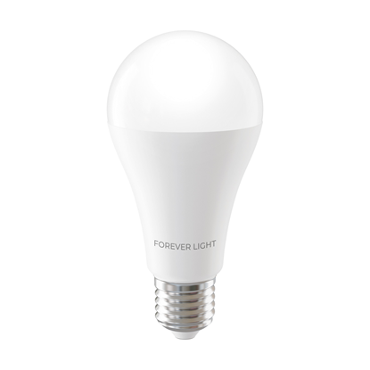 Picture of Forever Light LED Bulb E27 A65 17W 2100lm 4000K cl