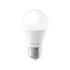 Picture of Forever Light LED Bulb E27 G45 7.2W 840lm 6000K cl
