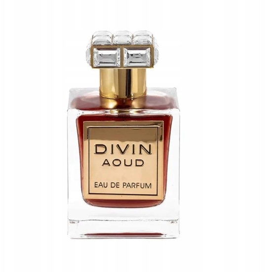 Picture of French Avenue Divin Aoud Perfume EDP 100 ml