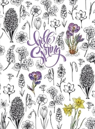 Picture of Fresh Notatnik ozdobny 145x197/64K kratka TW onkil