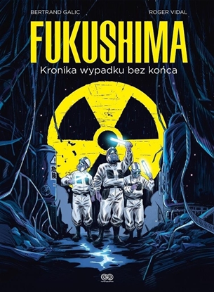 Picture of Fukushima. Kronika wypadku bez koca