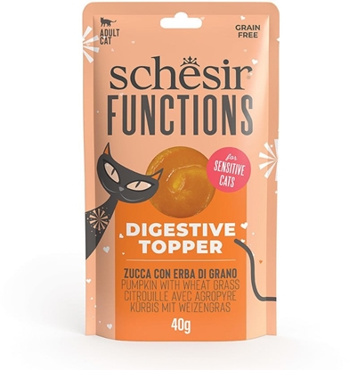 Picture of Functions, sumplement, dla kota, dynia i trawa pszeniczna, 40 g, saszetka, wspomaga trawienie