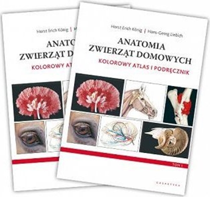 Attēls no Galaktyka Anatomia zwierzt domowych. Kolorowy atlas i podrcznik. Wydanie IV