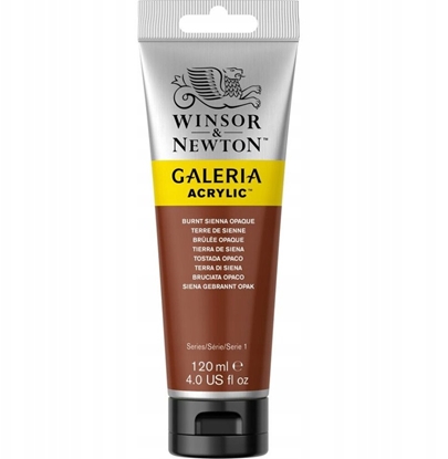 Picture of Galeria Acrylic 120Ml Burnt Sienna Opaque 077