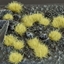Изображение Gamers Grass Gamers Grass: Grass tufts - 4 mm - Beige (Small)