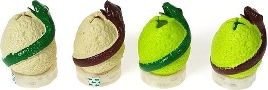 Picture of Gniotek Jajo wa MIX