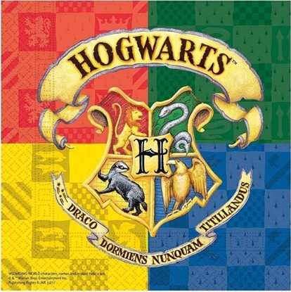 Attēls no GoDan Serwetki papiertowe Harry Potter 33x33cm 20szt
