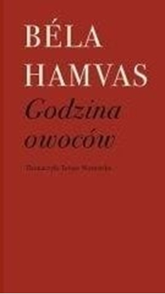 Picture of Godzina owoców EDUKAMP