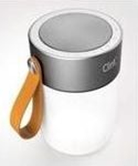 Picture of Gonik Clint  (CLINT-ICAMP1)