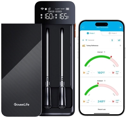 Изображение GOVEE B5192 SMART WIRELESS MEAT THERMOMETER (2-PROBE)