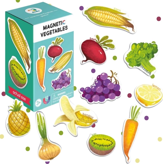 Picture of GRA MAGNETYCZNA WARZYWA I OWOCE PO ANGIELSKU NAUKA POPRZEZ ZABAW MAGNESY