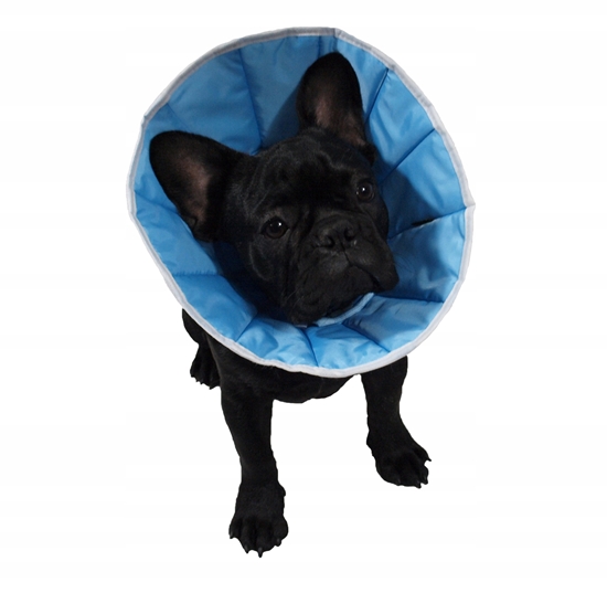 Изображение Grande Finale Konierz pooperacyjny pozabiegowy psa kota GF 1 S uniwersalny