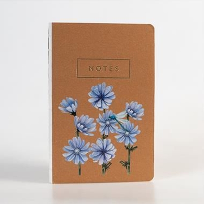 Picture of Greenmink Notes Kwiaty Polskie Cykoria KPL 6