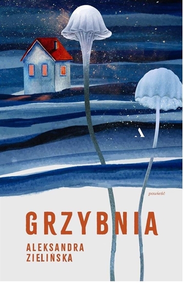 Picture of Grzybnia EDUKAMP