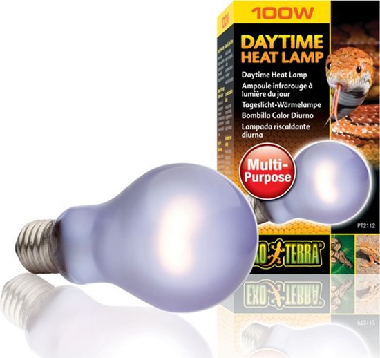 Picture of Hagen EXOTERRA ARÓWKA DAYTIME HEAT 100W DUA