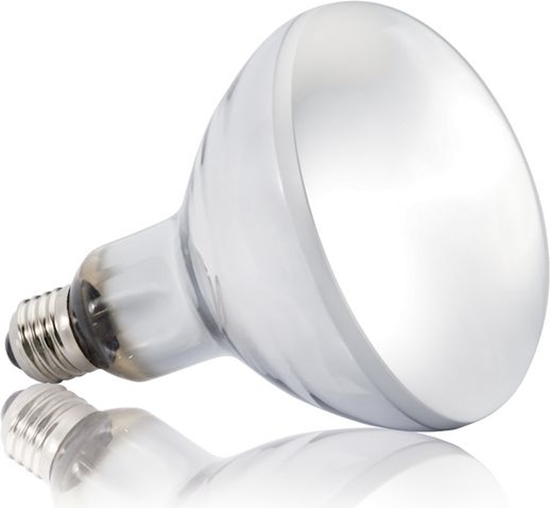 Picture of Hagen EXOTERRA ARÓWKA SOLAR GLO 125W