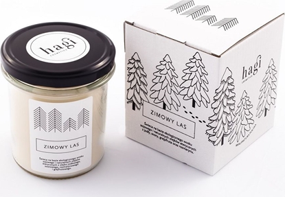 Изображение Hagi Hagi, wieca Zimowy Las (soik), 230g
