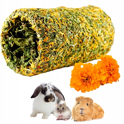 Изображение HAM-STAKE HS.18A1 TUNEL NAGIETKOWY -      ZIOOWY 17cm