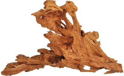 Изображение Happet KORZE MANGROWIEC L 40-60 cm