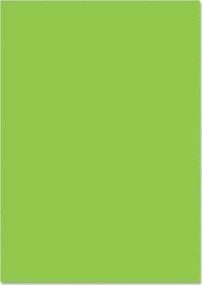 Picture of Happy Color Karton kolorowy 170g A4/25K j.zielony HAPPY COLOR