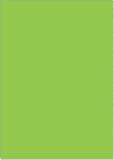 Picture of Happy Color Karton kolorowy 170g A4/25K j.zielony HAPPY COLOR