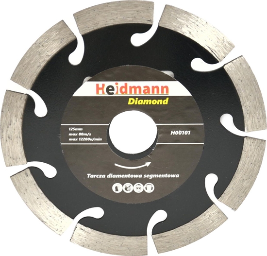 Picture of Heidmann Tarcza diaentowa segmentowa 125x22,2x10mm (H00101)