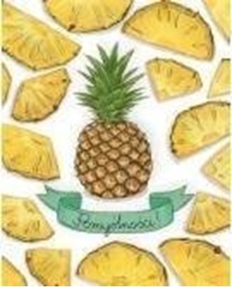 Picture of HENRY Karnet B6 Ananasy