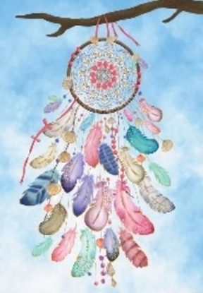 Attēls no HENRY KARNET B6 HS APACZ NIEBO