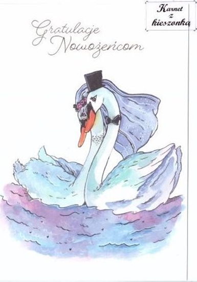 Picture of HENRY Karnet B6 z kieszonk - abdzie