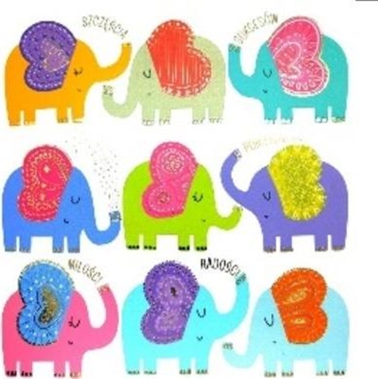 Picture of HENRY Karnet KW HS Sonie