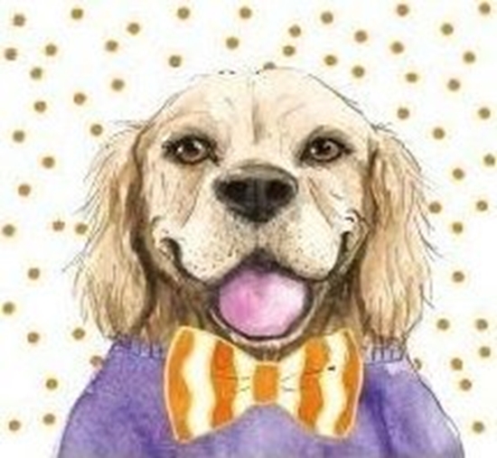 Picture of HENRY Karnet KW Pies pomaracz