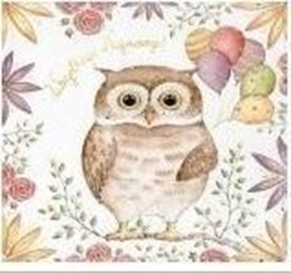 Attēls no HENRY Karnet KW Sówka