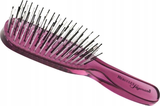 Picture of Hercules Hercules epetys plauk iukavimui, violetinis, Small HER8101