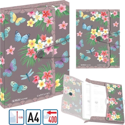 Attēls no Herlitz Herlitz Sammelbox A4 PP Ladylike Butterflies
